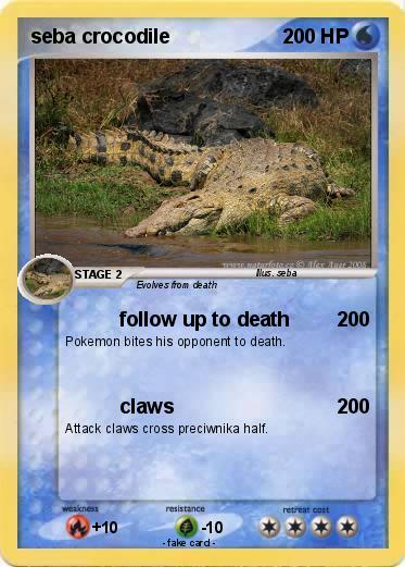 Pokemon seba crocodile