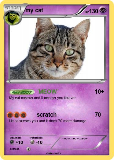 Pokemon my cat
