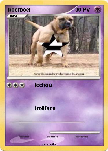 Pokemon boerboel