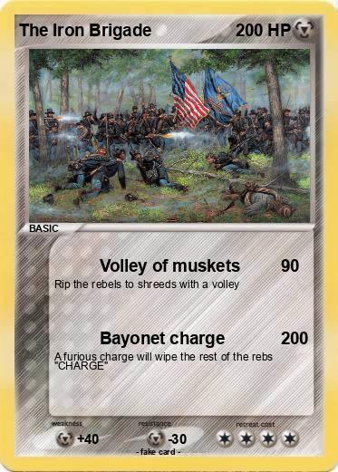 Pokemon The Iron Brigade