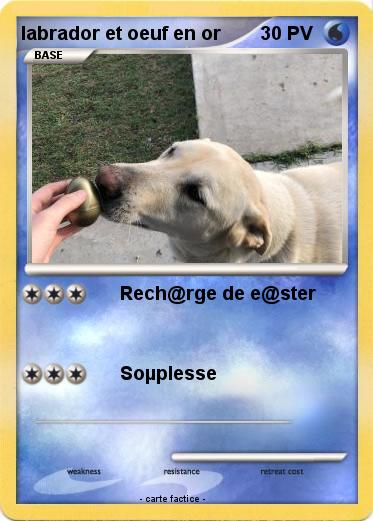 Pokemon labrador et oeuf en or