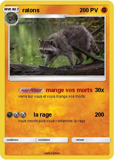 Pokemon ratons