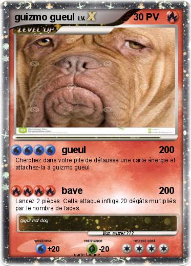 Pokemon guizmo gueul