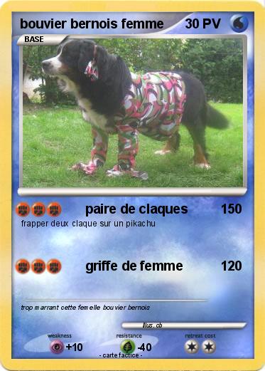 Pokemon bouvier bernois femme