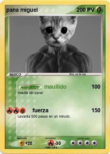 Pokemon pana miguel