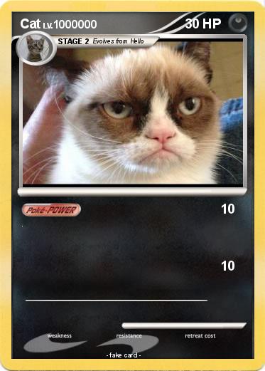 Pokemon Cat