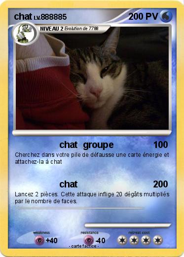 Pokemon chat