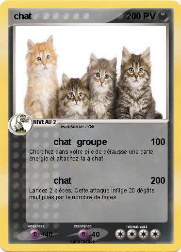 Pokemon chat