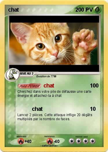 Pokemon chat