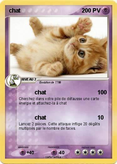 Pokemon chat