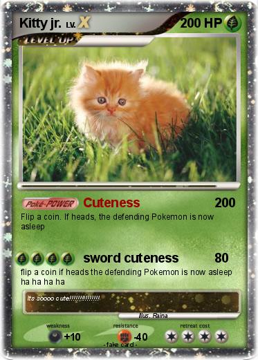 Pokemon Kitty jr.