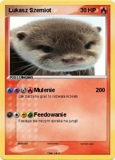 Pokemon Łukasz Szemiot