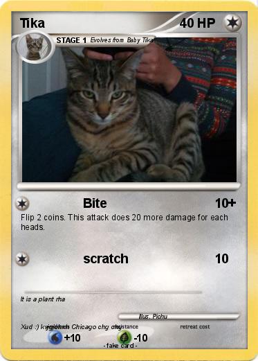 Pokemon Tika