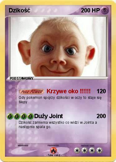 Pokemon Dzikość