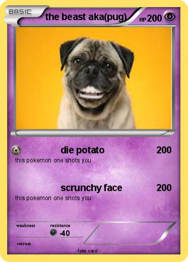 Pokemon the beast aka(pug)