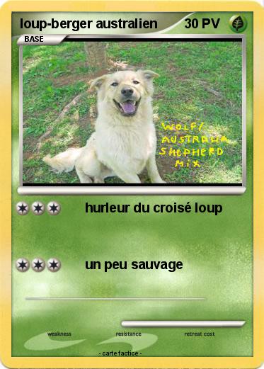 Pokemon loup-berger australien