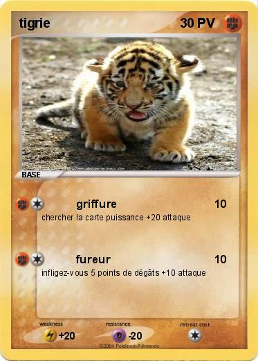Pokemon tigrie 