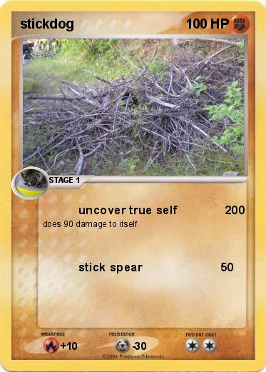 Pokemon stickdog       