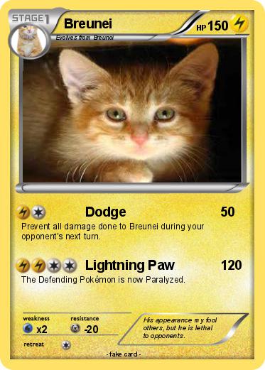 Pokemon Breunei