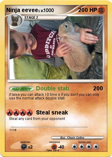 Pokemon Ninja eevee
