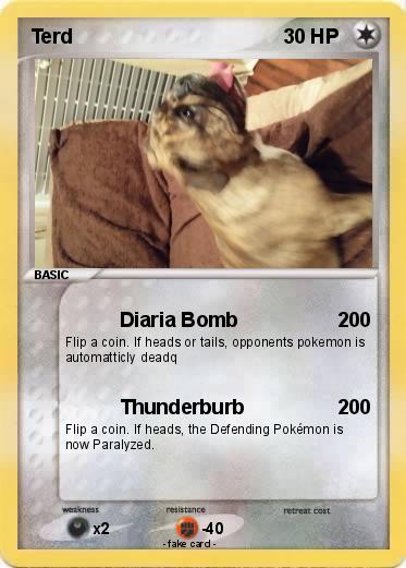 Pokemon Terd