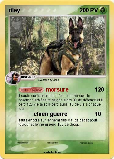 Pokemon riley                                                                                                                                                                3O