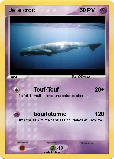 Pokemon Je te croc