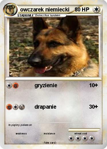 Pokemon owczarek niemiecki