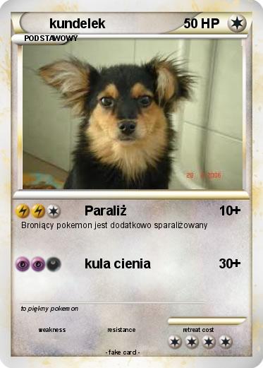 Pokemon kundelek