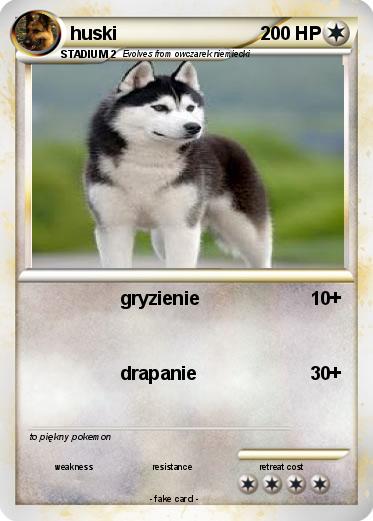 Pokemon huski