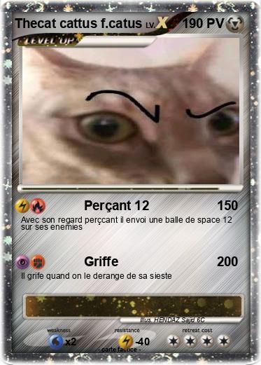 Pokemon Thecat cattus f.catus