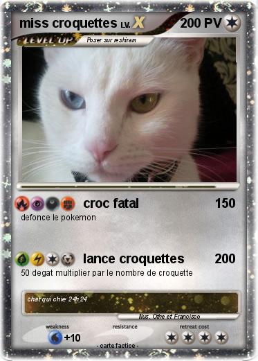 Pokemon miss croquettes