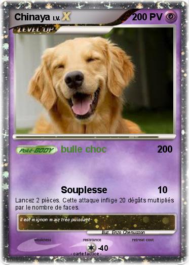 Pokemon Chinaya