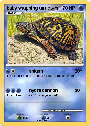 Pokemon baby snapping turtle