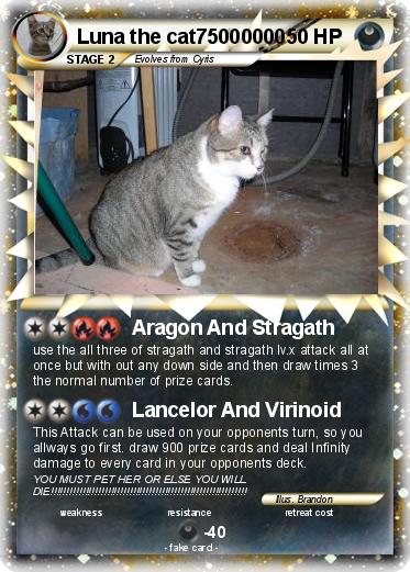 Pokemon Luna the cat75000000