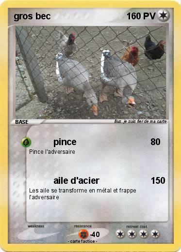 Pokemon gros bec