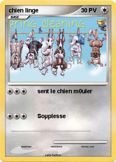 Pokemon chien linge
