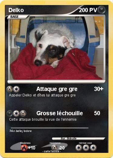 Pokemon Delko