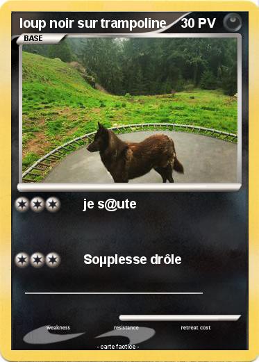 Pokemon loup noir sur trampoline
