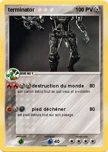 Pokemon terminator