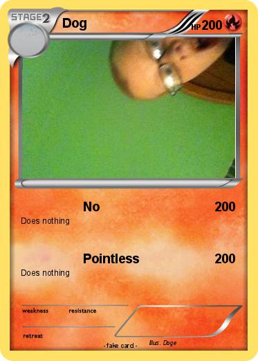 Pokemon Dog