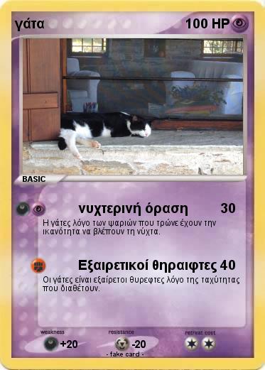 Pokemon γάτα