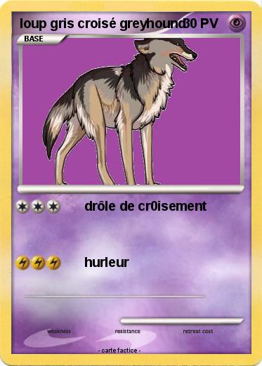 Pokemon loup gris croisé greyhound