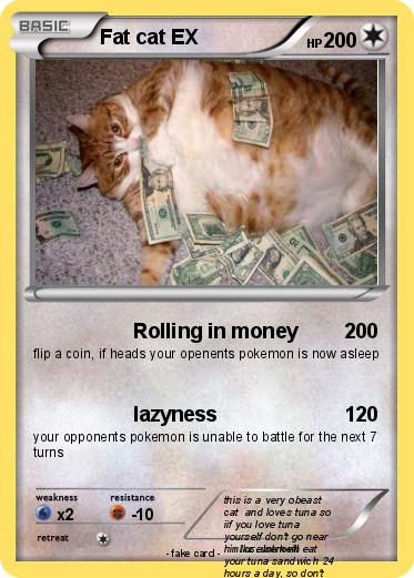 Pokemon Fat cat EX