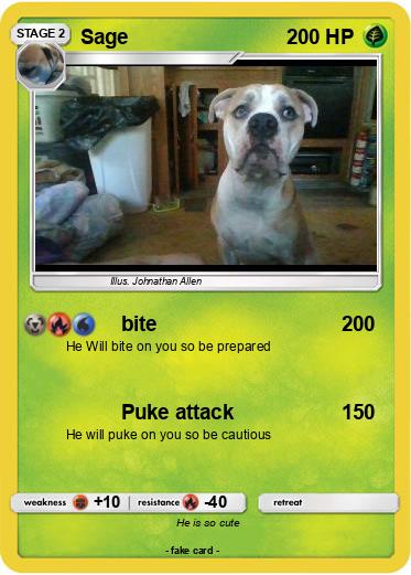 Pokemon Sage