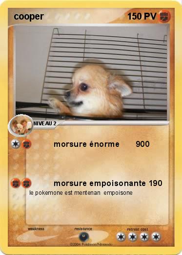 Pokemon cooper