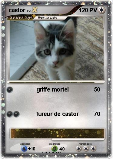 Pokemon castor