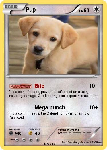 Pokemon Pup