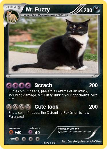 Pokemon Mr. Fuzzy