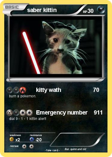 Pokemon saber kittin